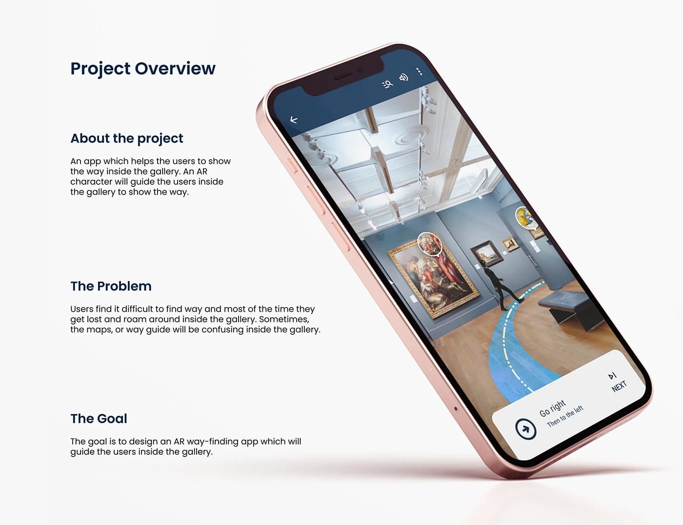 Project Overview